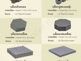 บล็อกตัวหนอน บล็อกแปดเหลี่ยม บล็อกปูหญ้า แผ่นทางเท้า