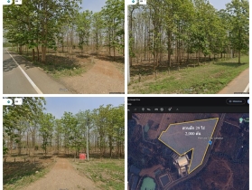 ด่วน! โอกาสทองสำหรับนักลงทุน ที่ดิน 29 ไร่ พร้อมสวนสักอายุ 12 ปี