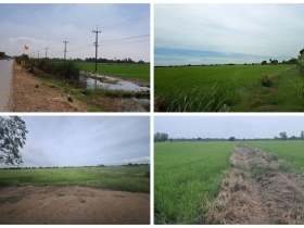 ขายที่ดินติดถนน เแปลงใหญ่สวย ติดถนนสาย 347 ปทุมธานี-บางปะหัน