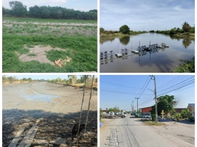 ขายด่วน! ลดกระหน่ำ ถูกสุดๆ ขายที่ดินราคาพิเศษ อ.บางเสาธง