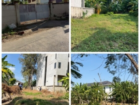 ขายที่ดิน 6 ไร่กว่า พหลโยธิน35 แยก19 ซ.สังข์ทอง 9 ใกล้เมเจอร์