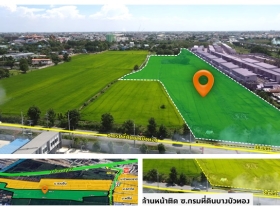 ที่ดินทำเลดี ติดถนนใหญ่ ห่างจาก ถ.ชัยพฤกษ์ เพียง 400 ม. พร้อมโอน