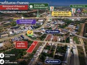 ขายที่ดิน ติดมหาวิทยาลัย 520 ตร.ว. สามชุก จ.สุพรรณบุรี นักลงทุน