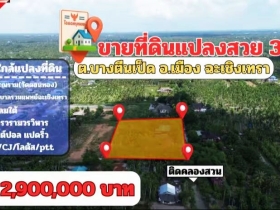 ขายที่ดินแปลงสวย ต.บางตีนเป็ด อ.เมือง จ.ฉะเชิงเทรา เนื้อที่ 3 ไร่