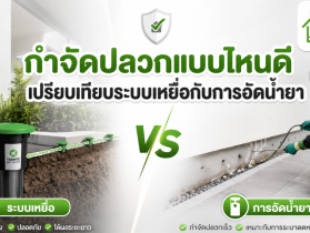 บริการกำจัดปลวก