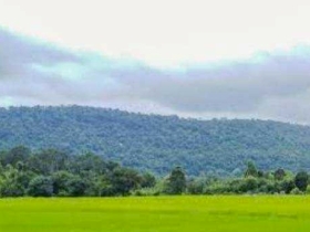 ขายที่ดินวิวเขาสวยที่สุด อำเภอแก่งคอย สระบุรี ใกล้กรุงเทพฯ.